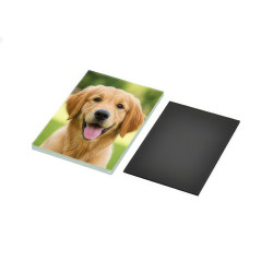 Skleněná magnetka s vlastní fotkou